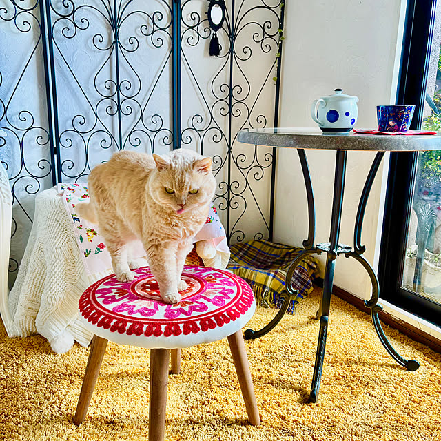 naokoさんの部屋