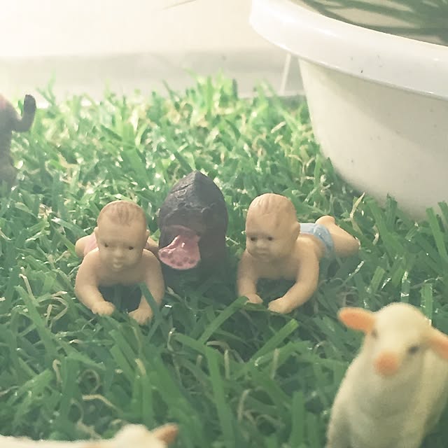 a-coさんの実例写真