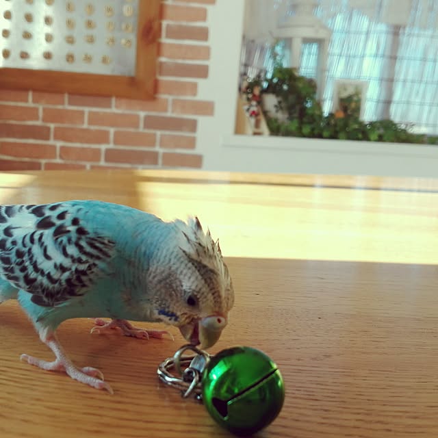 yukkieさんの実例写真