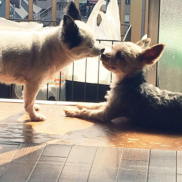 ohanaさんの実例写真