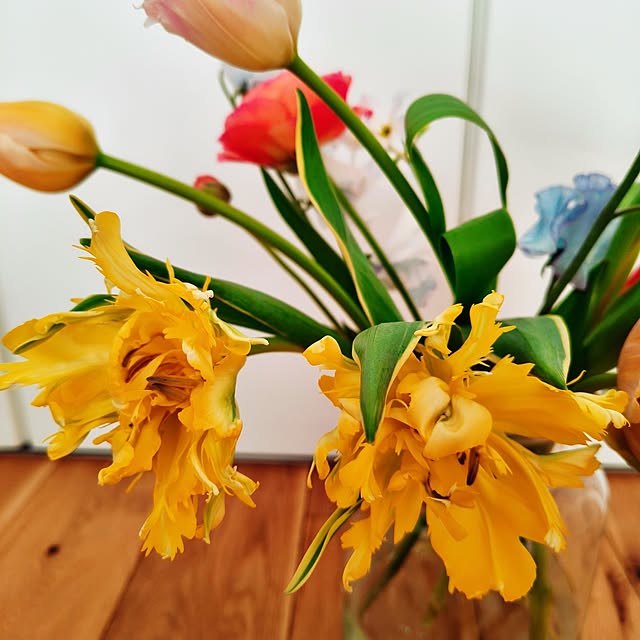 Atsuemmaさんの部屋