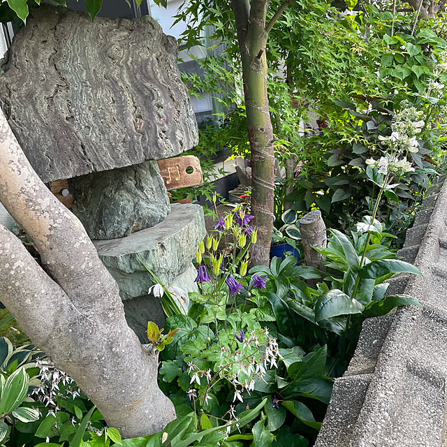buchiさんの部屋