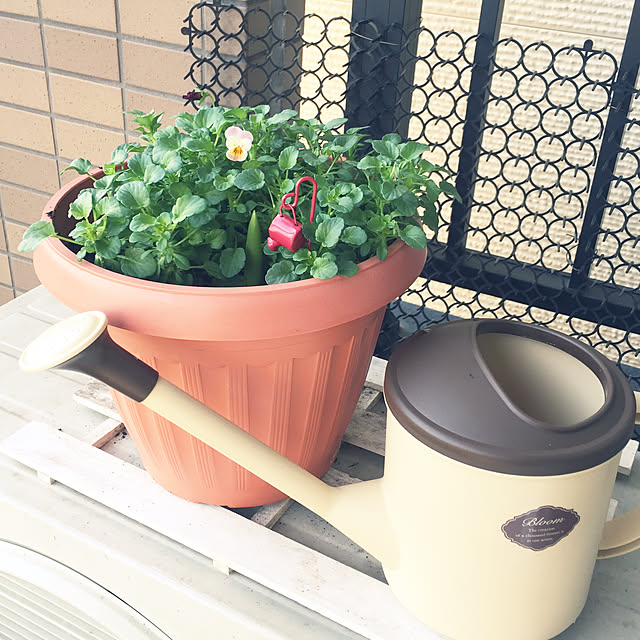 soraさんの実例写真