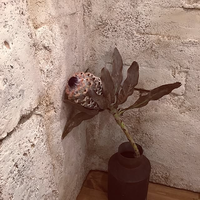 676mocaさんの実例写真