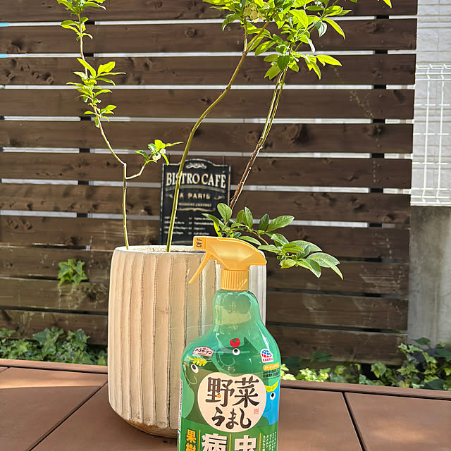 kakamiさんの実例写真