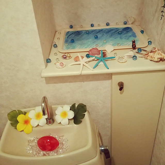 Beniさんの実例写真