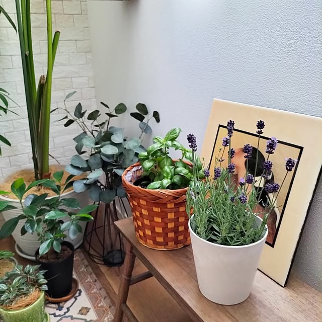 coco0.84.さんの部屋