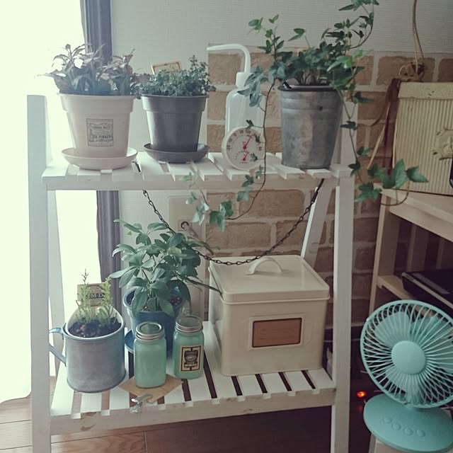 tanpopo.kさんの実例写真