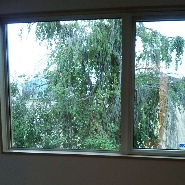 icchiさんの実例写真