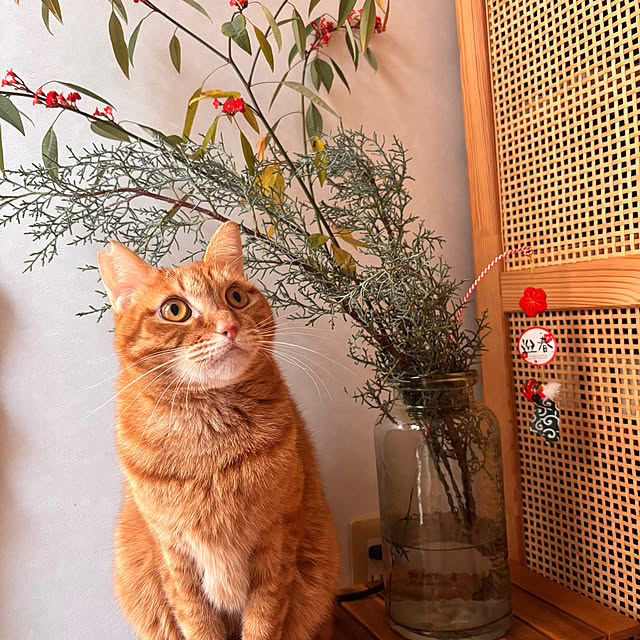 buntamaさんの実例写真