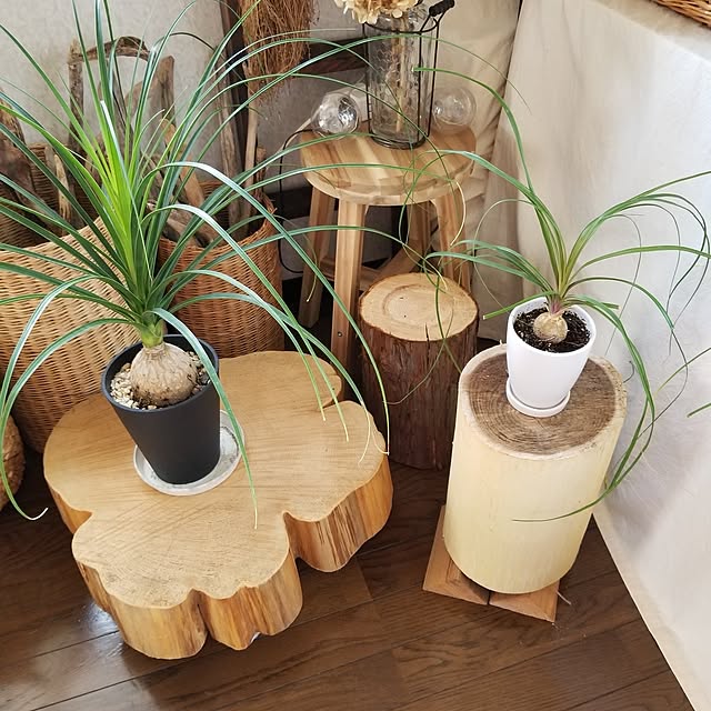 midoriさんの部屋