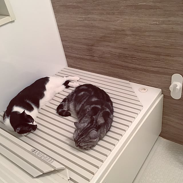 mikomaruさんの実例写真