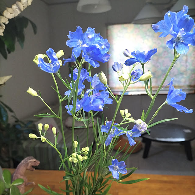pua.dekoさんの実例写真