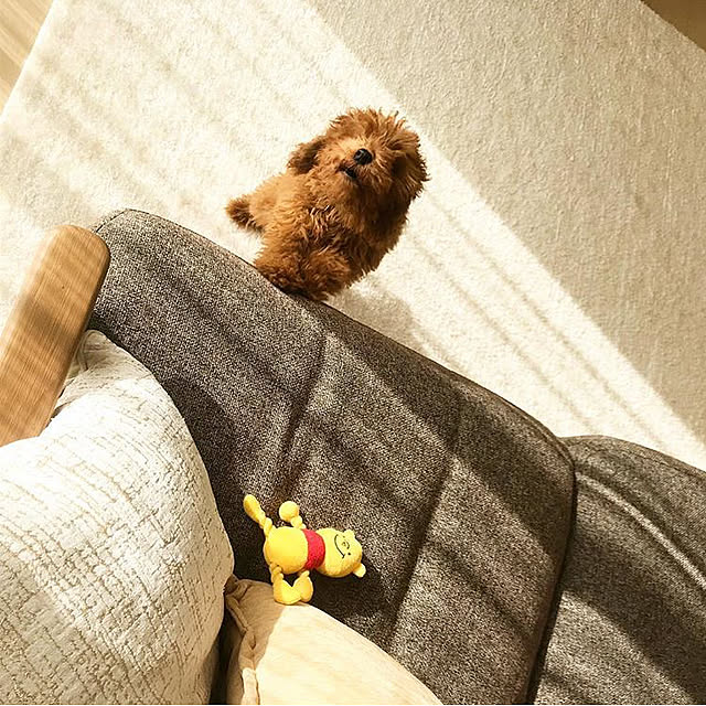ayaさんの実例写真
