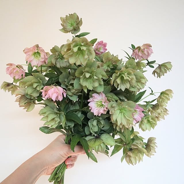 yunohaさんの部屋