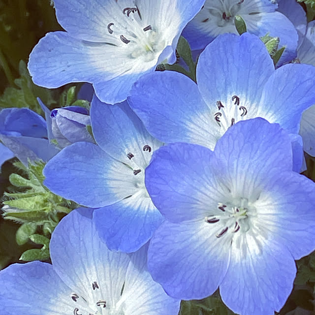 namecoさんの実例写真