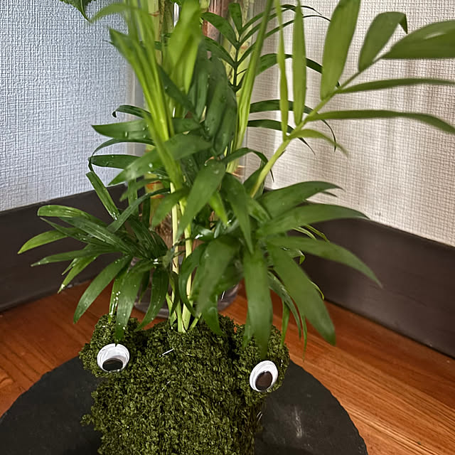 syutmmさんの部屋