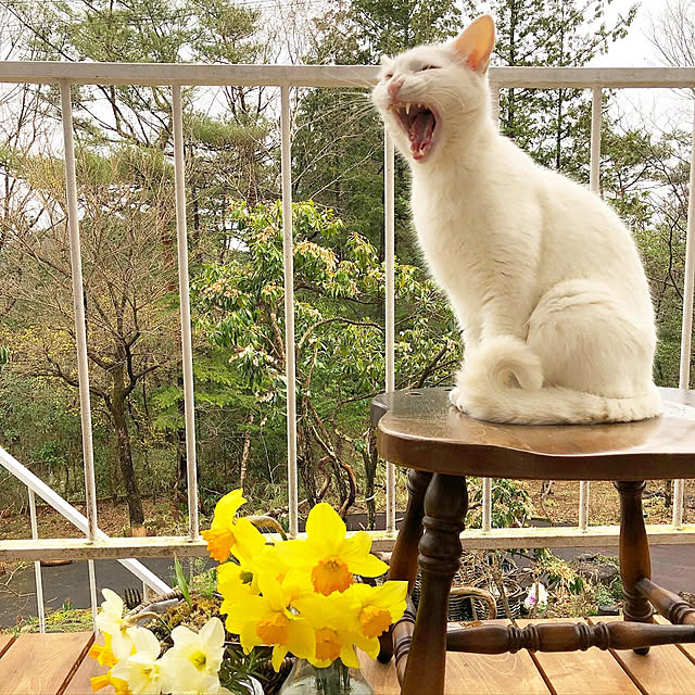 weさんの実例写真