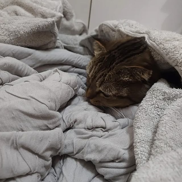 noguriさんの実例写真