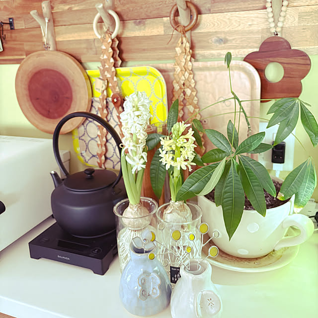 ikさんの実例写真