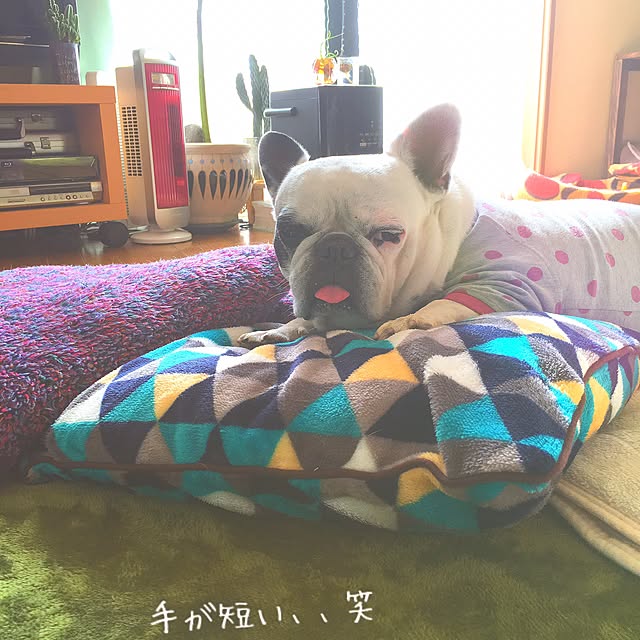 38coreさんの実例写真