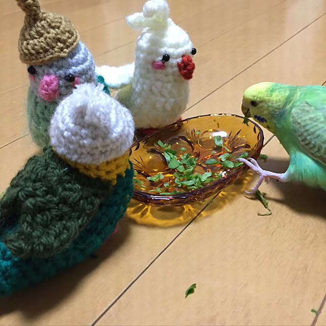 toratanさんの実例写真