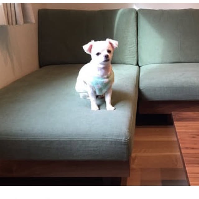 c.tさんの実例写真