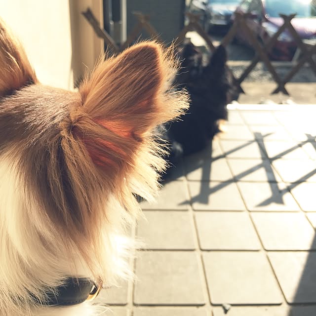 hitosan.さんの実例写真