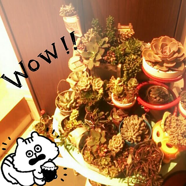 mikechoさんの実例写真