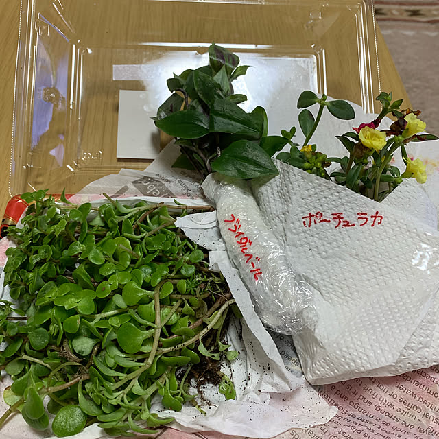 sakuranboさんの実例写真