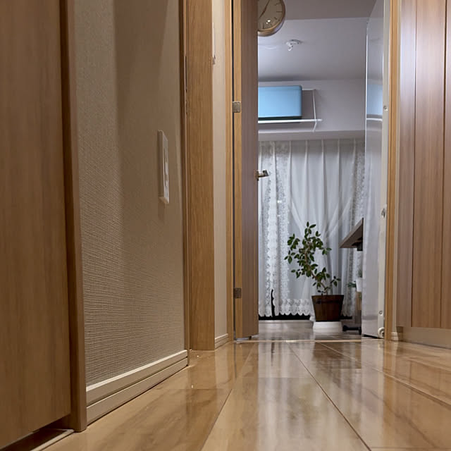 部屋全体/一人暮らし/1K/フランスゴムの木/6.7畳...などのインテリア実例 - 2025-02-24 19:18:14