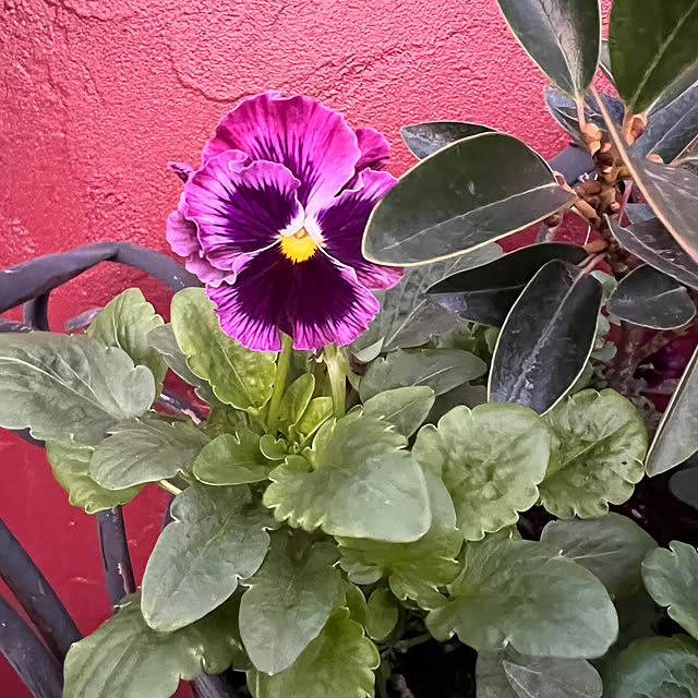 AYUKOさんの部屋