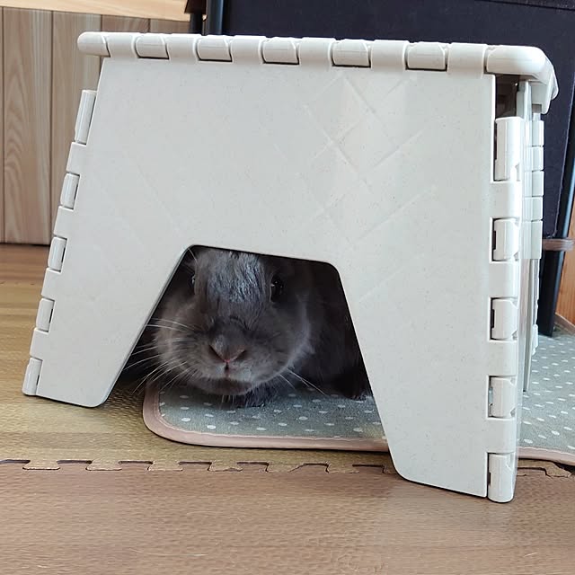 kirariさんの部屋