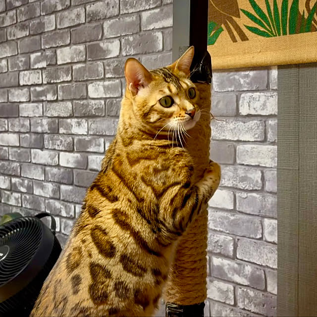 tututu0204さんの部屋