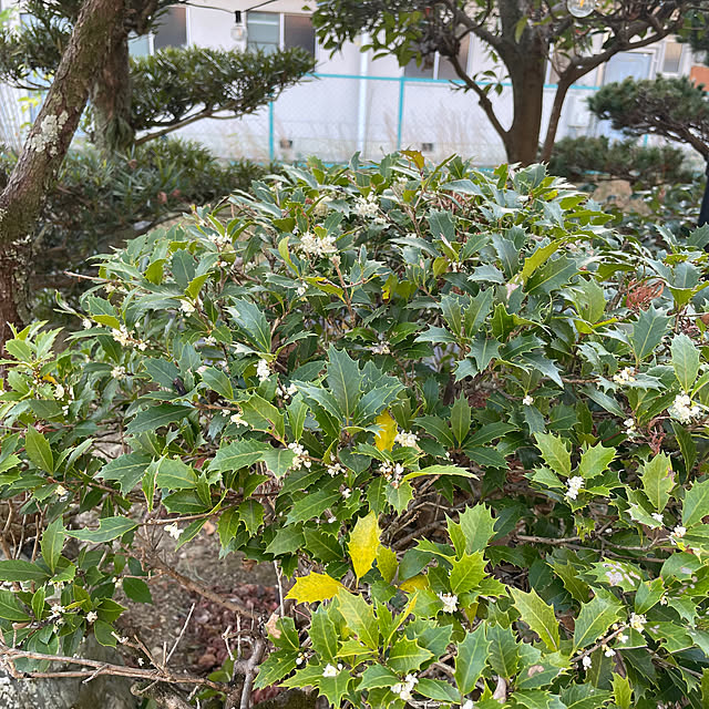 shin0719さんの部屋