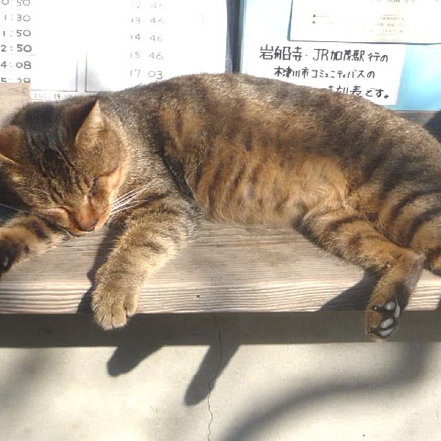 Takuさんの実例写真