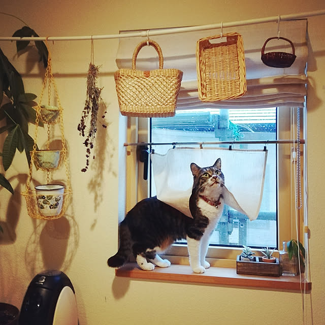 arrsさんの実例写真