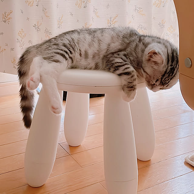 milkcocoaさんの部屋