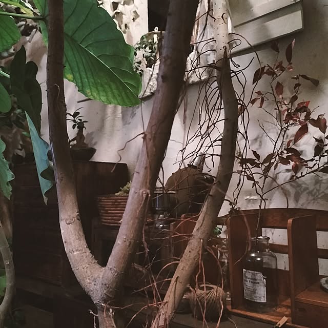 ganchan_0910さんの実例写真
