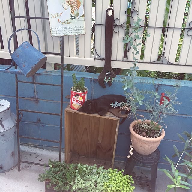 Azuさんの実例写真