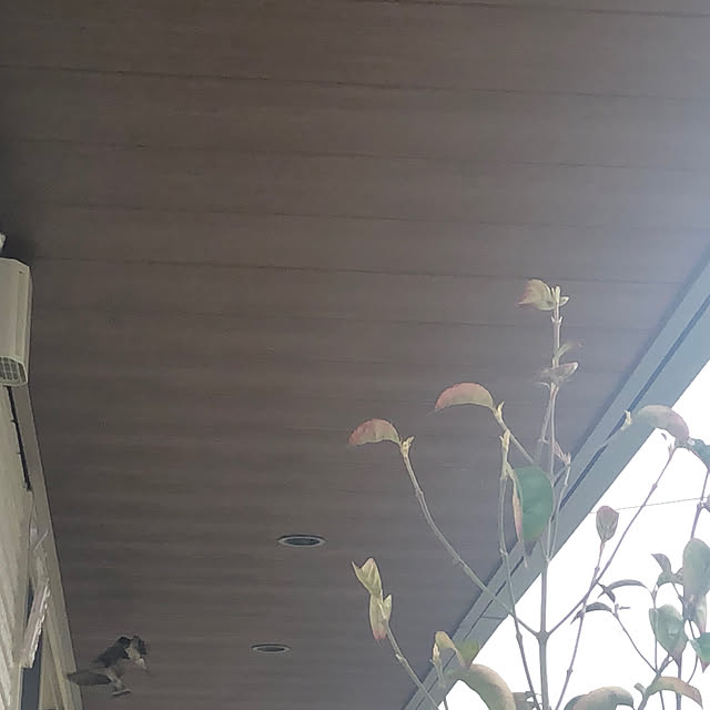 chi_8777さんの実例写真