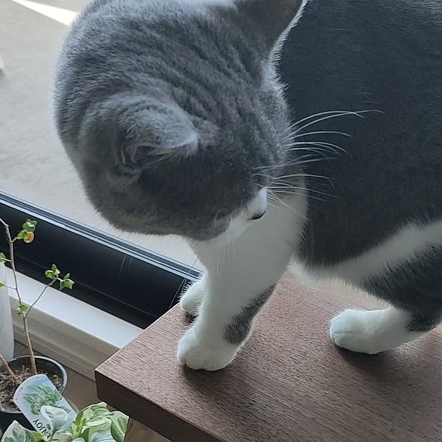 KEIKOさんの部屋