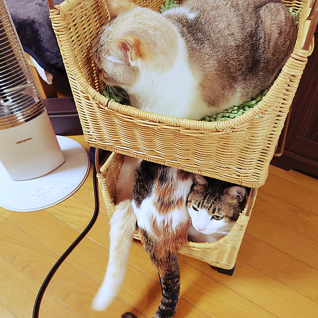 nachiさんの実例写真