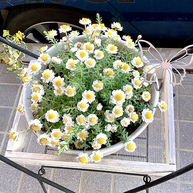 Ma-saさんの実例写真