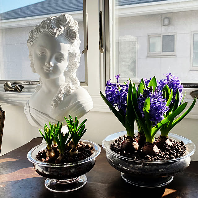 neneさんの実例写真