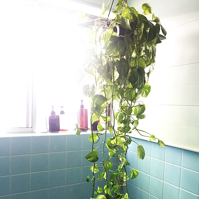kaothe390さんの実例写真