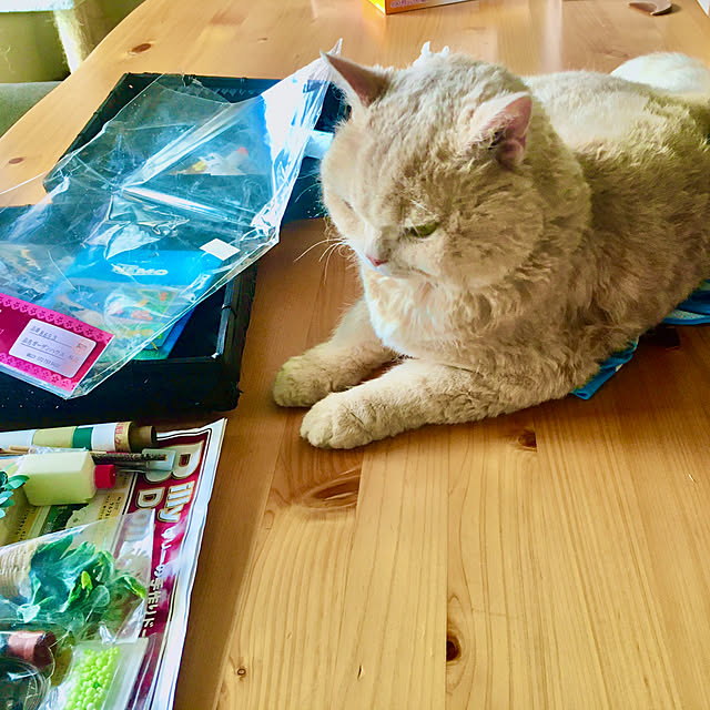 naokoさんの実例写真