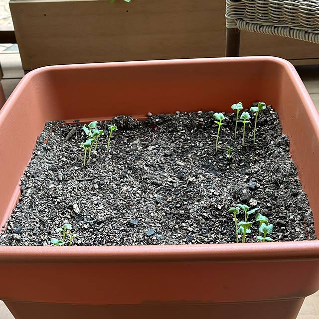 tabasaさんの部屋