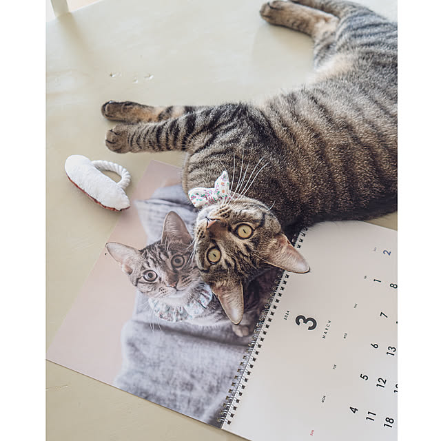 oliveさんの実例写真