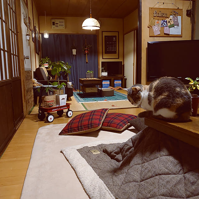 fukuさんの実例写真